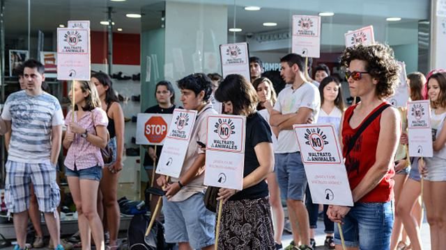 Тысячи людей хотят запретить корриду в Испании