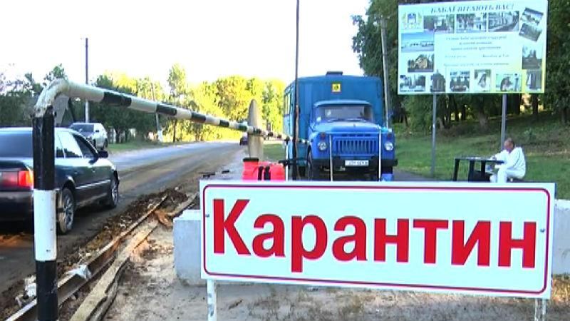 Блокпости та посилена дезінфекція: як на Харківщині борються із небезпечним вірусом Блокпости та посилена дезінфекція: як на Харківщині борються із небезпечним вірусом