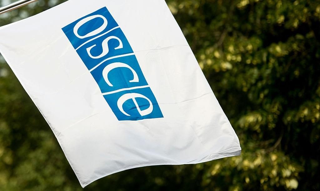 ОБСЕ проигнорирует выборы в Госдуму в Крыму