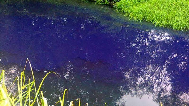 Річка посиніла на Прикарпатті: з'явилось відео Річка посиніла на Прикарпатті: з'явилось відео