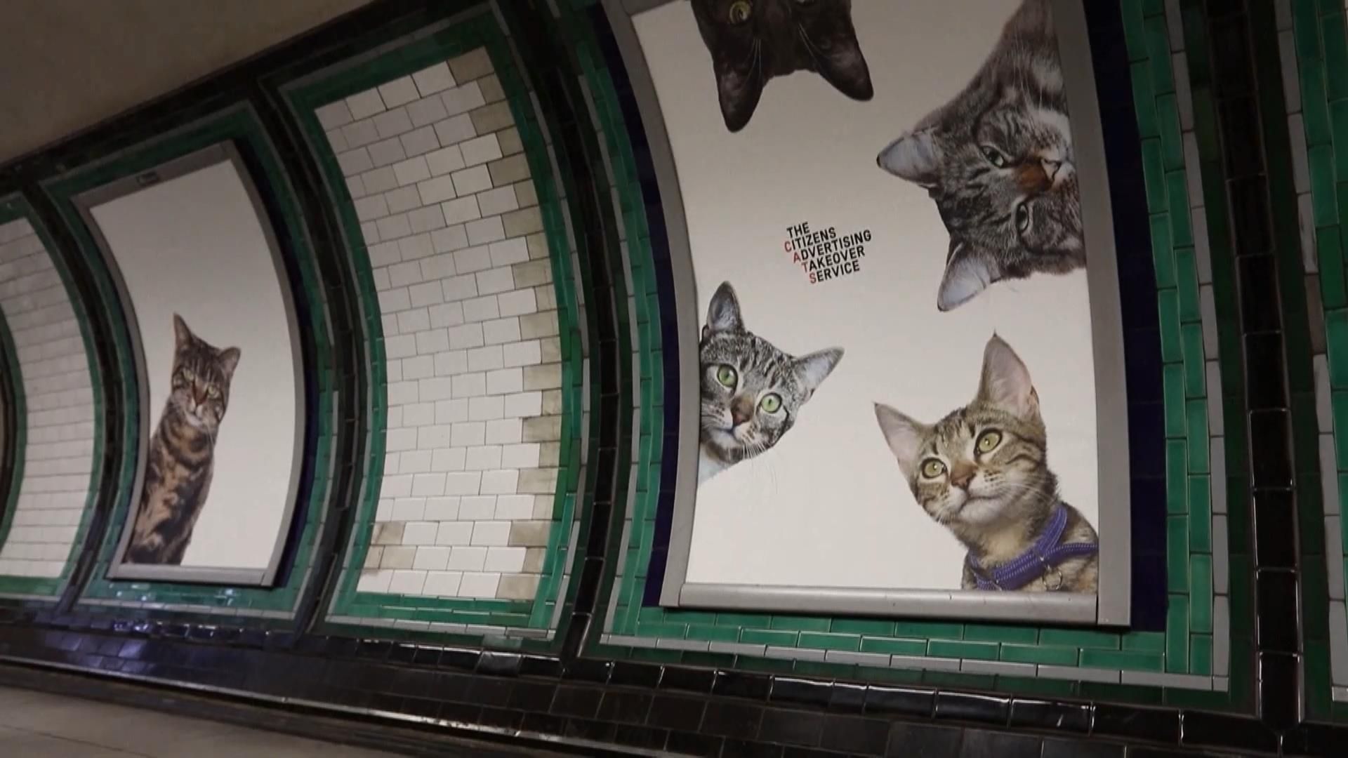 У лондонському метро з’явилась незвична реклама