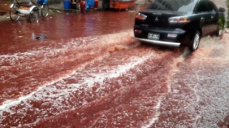 Вулиці у Бангладеші залило кров'ю