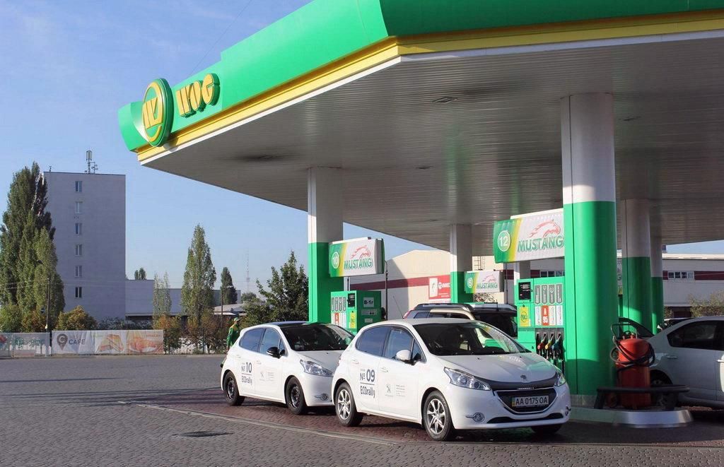 Учасники ECOrally ставлять рекорди разом з WOG Учасники ECOrally ставлять рекорди разом з WOG