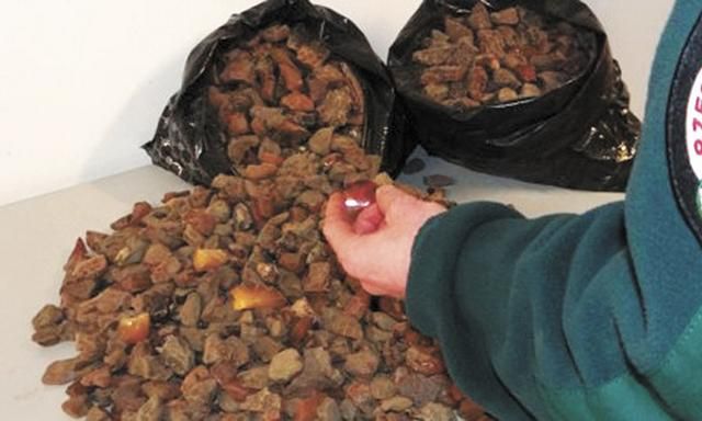 У війні за бурштин люди в масках потрощили авто поліції на Рівненщині У війні за бурштин люди в масках потрощили авто поліції на Рівненщині