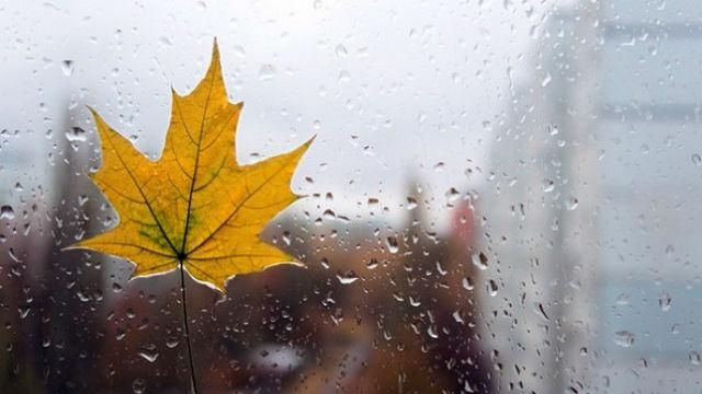 В Украину идет серьезное похолодание В Украину идет серьезное похолодание