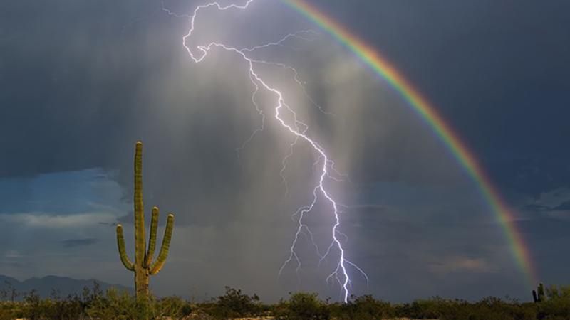 Дивовижні фото природи від National Geographic Дивовижні фото природи від National Geographic