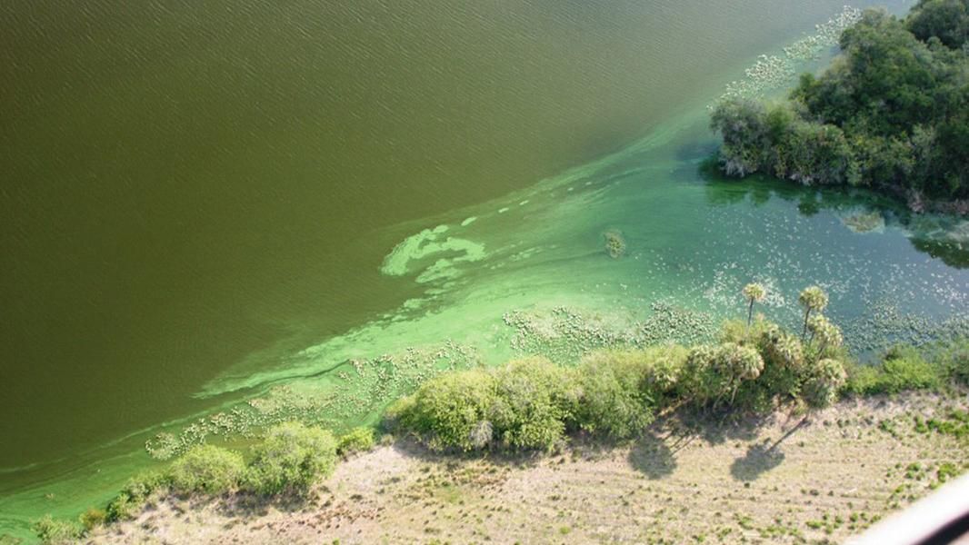 Катастрофа у США: хімікати отруїли мільярди літрів питної води Катастрофа у США: хімікати отруїли мільярди літрів питної води