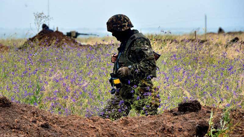 Журналіст повідомив про втрати серед бійців на Донбасі Журналіст повідомив про втрати серед бійців на Донбасі
