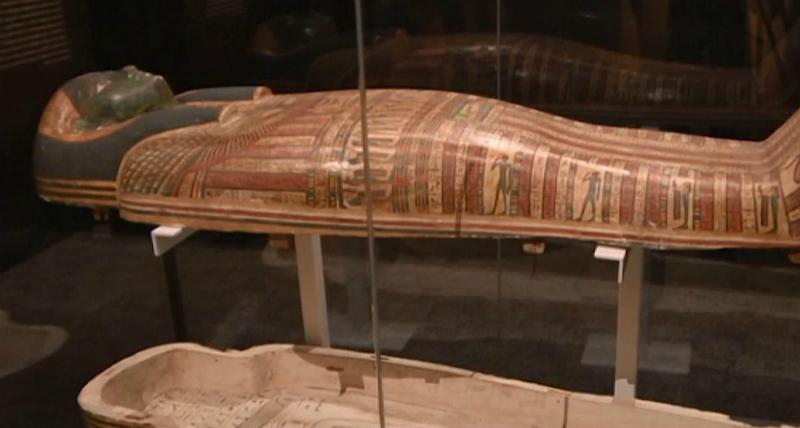 В Австралии создали уникальный проект, который описывает историю человечества