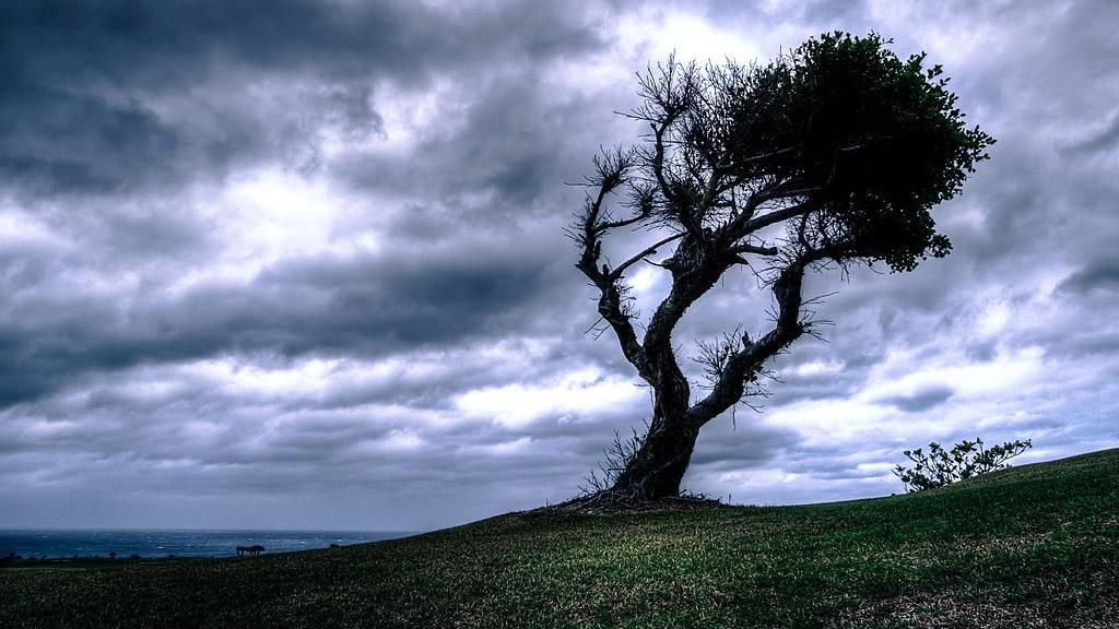 Мощные тайфуны и извержения вулкана: появились фото и видео непогоды в мире Мощные тайфуны и извержения вулкана: появились фото и видео непогоды в мире