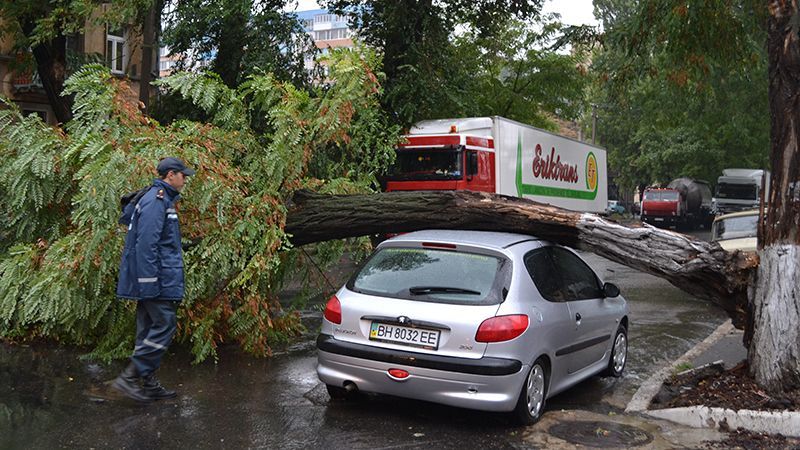 Повалені дерева і затоплені вулиці: страхітливі наслідки негоди в Одесі 