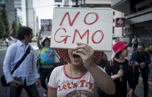 В Україні є продукти з ГМО, їх просто не реєструють, – Держспоживслужба
