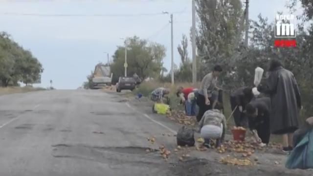 Все село збіглось, щоб розікрасти яблука з перевернутої вантажівки у Криму