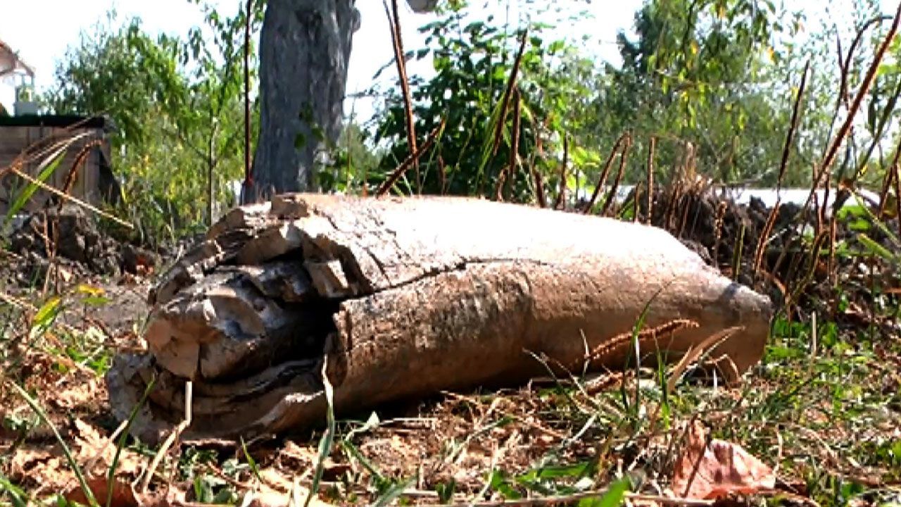 Замість криниці селяни викопали частину мамонта
Замість криниці селяни викопали частину мамонта