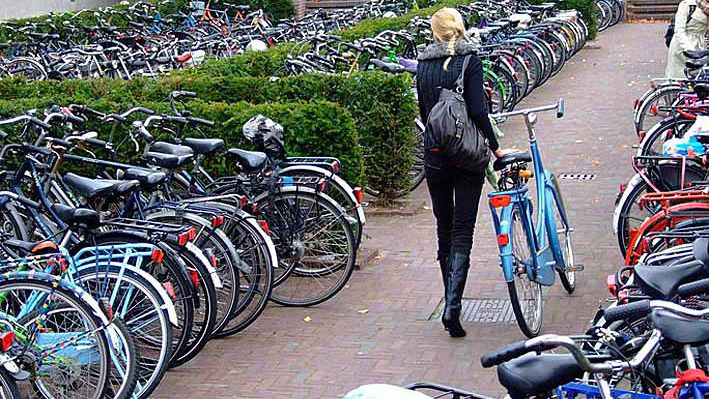 Всемирный день без автомобиля: какую пользу несет необычный праздник