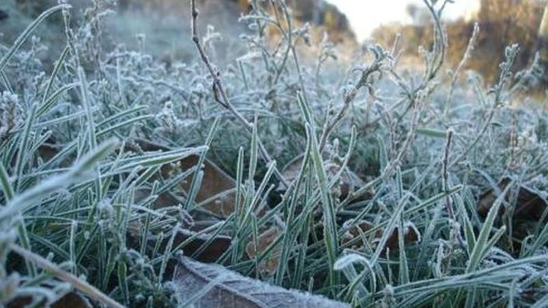 Перший сніг випав у Харкові: опубліковане відео Перший сніг випав у Харкові: опубліковане відео