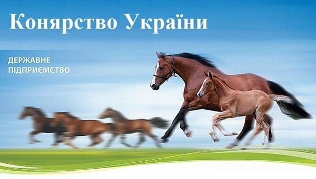 СБУ поймала на взятке директора госпредприятия "Коневодство Украины"