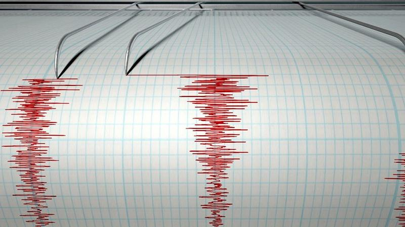 Думал это глюки – в сети активно отреагировали на землетрясение