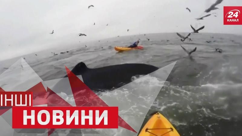 ІНШІ новини. Несподівані кити. Екстремальний паркур