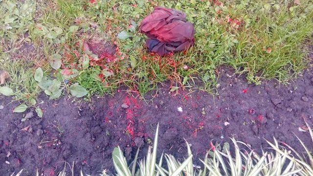 Памятник Владимиру Великому осквернили в Киеве: появились фото Памятник Владимиру Великому осквернили в Киеве: появились фото