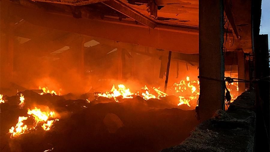 Нацгвардійці врятували дітей та тварин із палаючого міні-зоопарку Нацгвардійці врятували дітей та тварин із палаючого міні-зоопарку