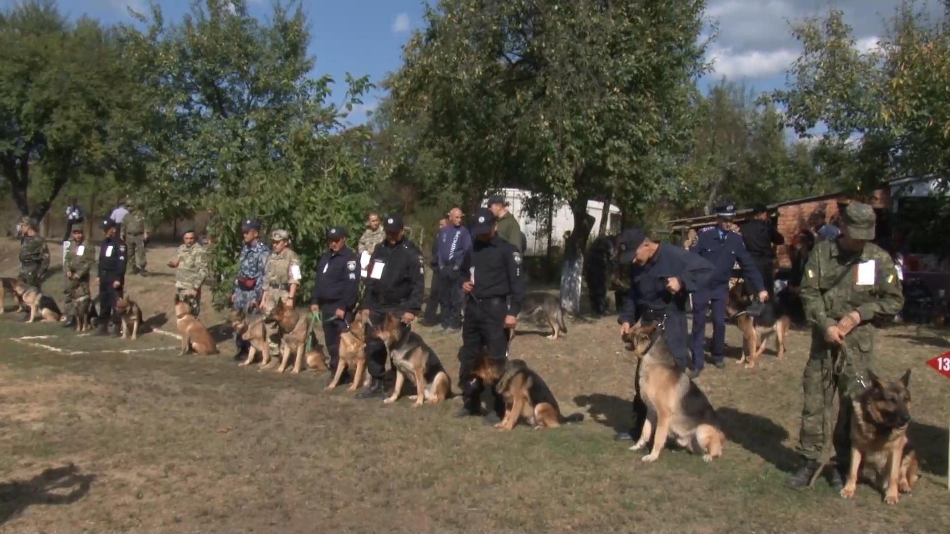 Як змагаються бойові вівчарки, що стоять на захисті України