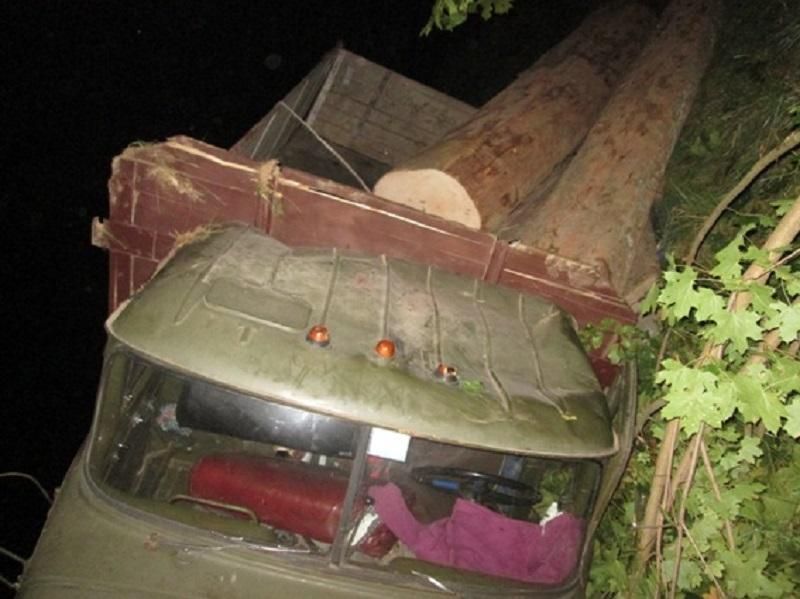На Закарпатті перекинулося авто з краденим лісом, є загиблі