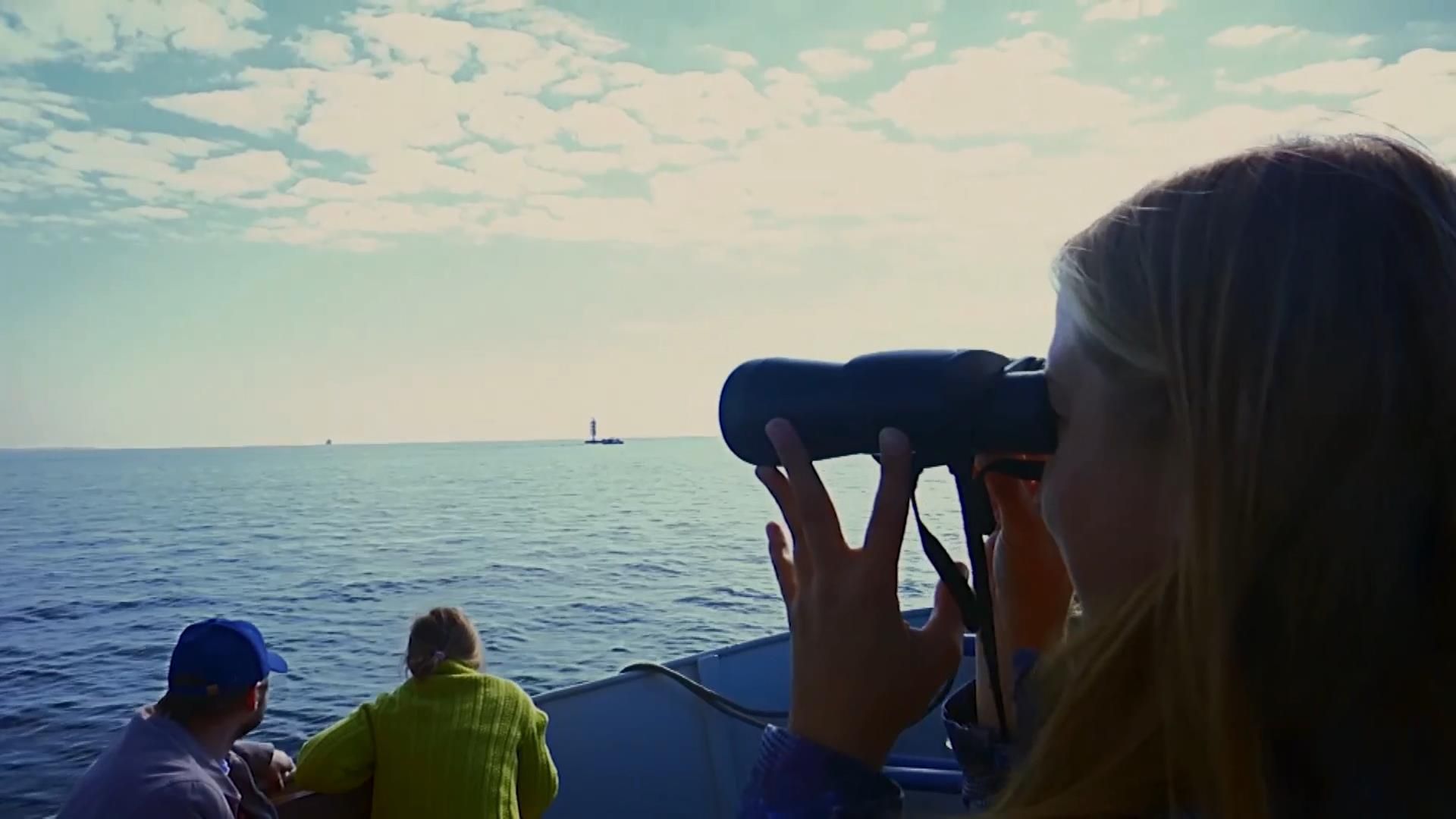 Сміття після туристів на українських пляжах вбиває тварин та птахів Сміття після туристів на українських пляжах вбиває тварин та птахів