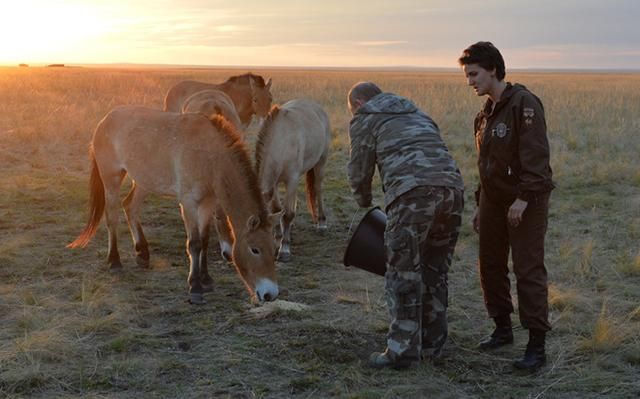В соцсетях поиздевались с Путина-кормильца лошадей