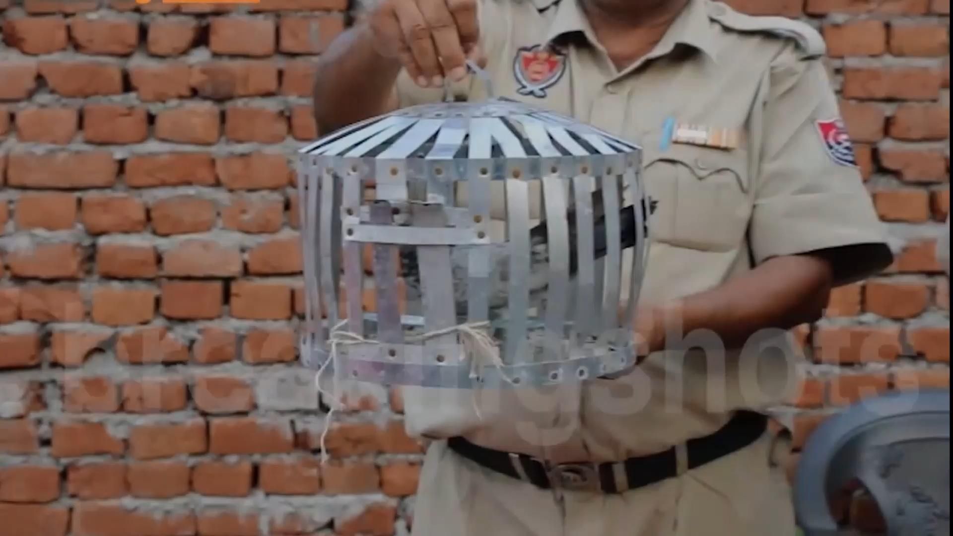 Индийские полицейские арестовали голубя, который переносил записку с угрозами стране