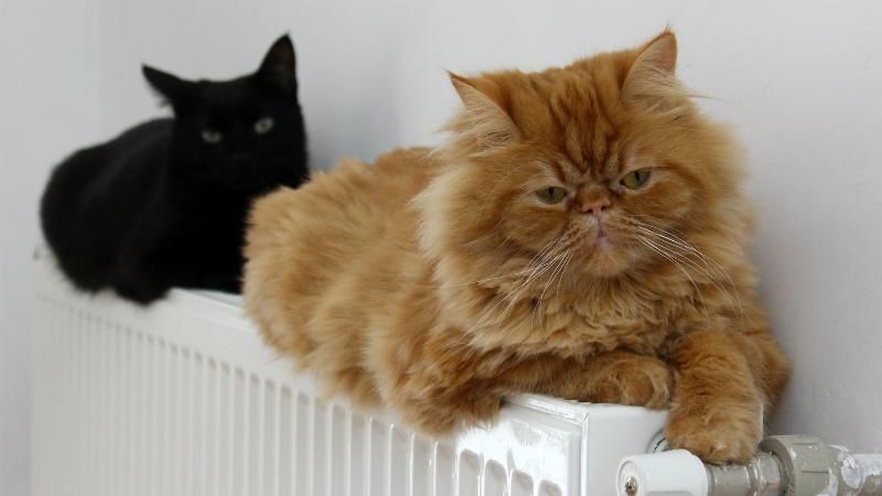 Опалення в квартирах можуть увімкнути раніше Опалення в квартирах можуть увімкнути раніше