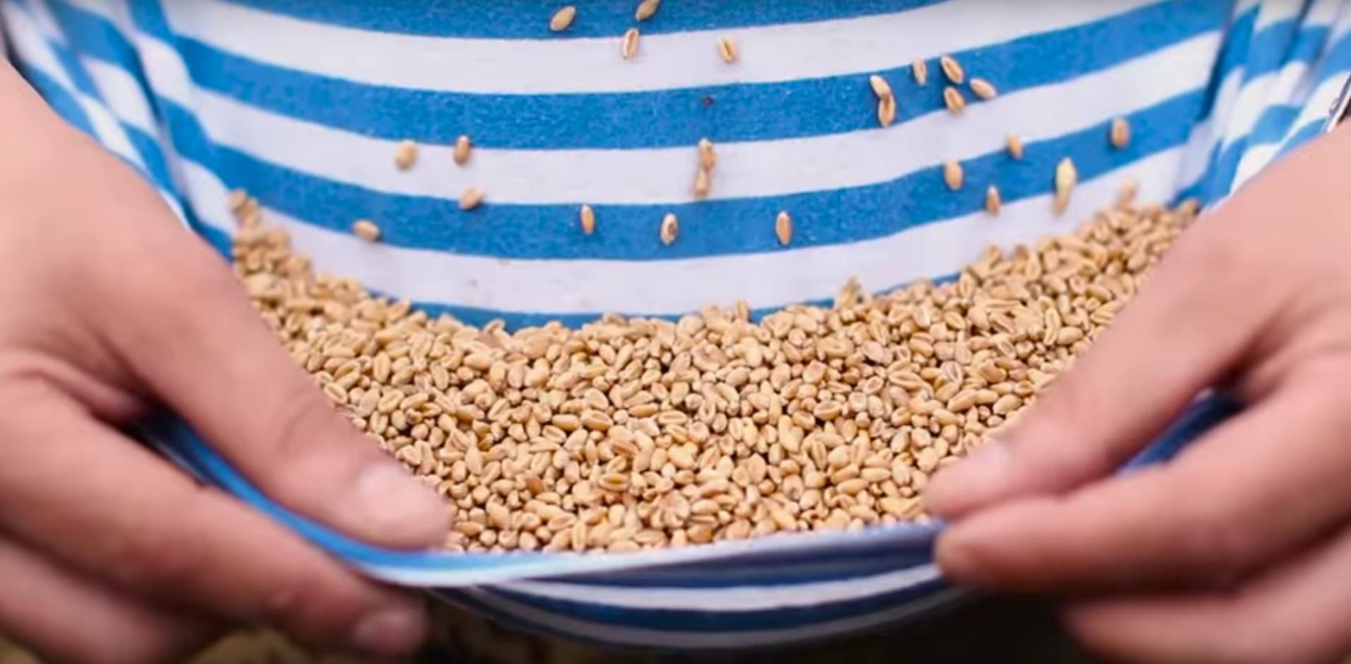 Полку, который сражался за Донецкий аэропорт, посвятили патриотическое видео Полку, который сражался за Донецкий аэропорт, посвятили патриотическое видео