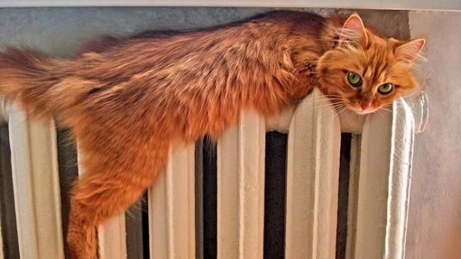 Чи готова Україна до опалювального сезону Чи готова Україна до опалювального сезону