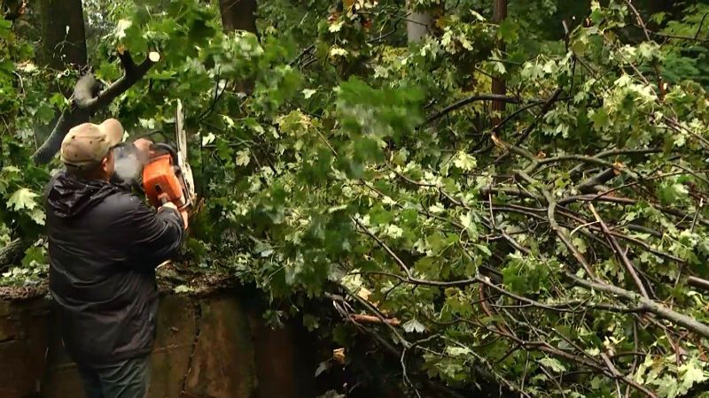 Повалені дерева і рекордна кількість опадів: якого лиха наробила негода у західній Україні
