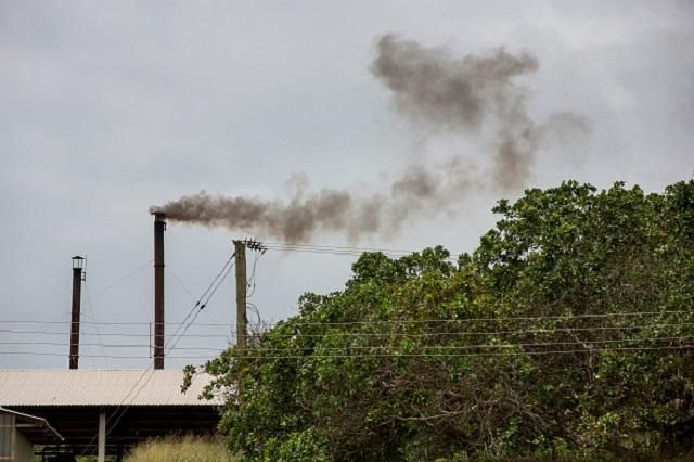 Нові екологічні закони запрацюють не раніше, ніж через півроку, – експерт Нові екологічні закони запрацюють не раніше, ніж через півроку, – експерт