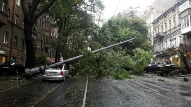 Злива в Одесі: через вітер дерева падають на авто та маршрутки