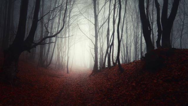 Чрезвычайники предупреждают о значительном ухудшении погоды Чрезвычайники предупреждают о значительном ухудшении погоды