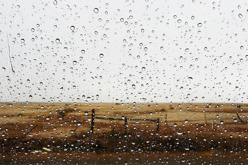 Синоптики рассказали, где будут дожди в Украине в начале недели Синоптики рассказали, где будут дожди в Украине в начале недели