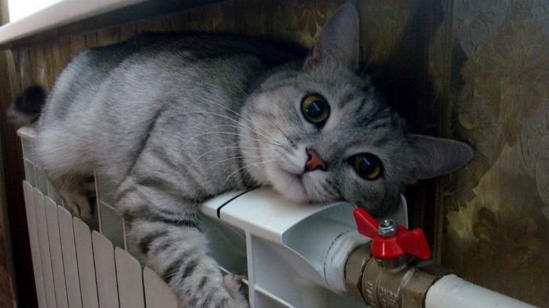 Отопительный сезон в Украине начнется раньше Отопительный сезон в Украине начнется раньше