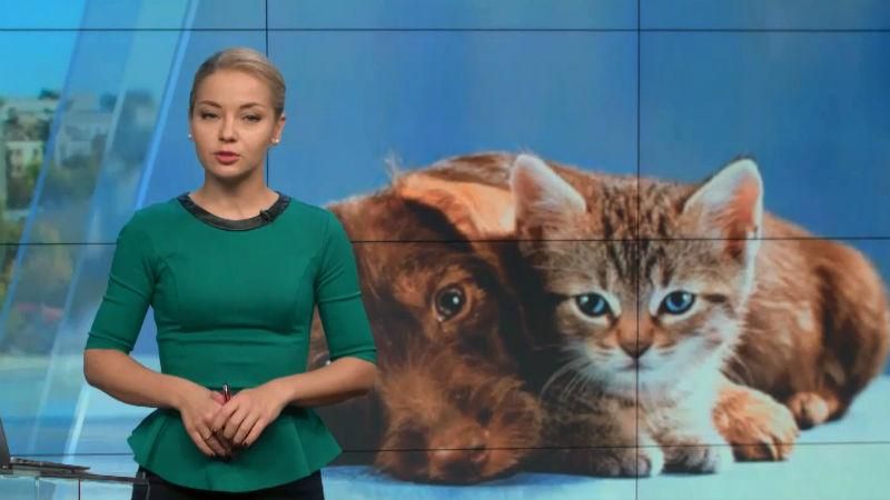 Випуск новин 11 жовтня станом на 17:00