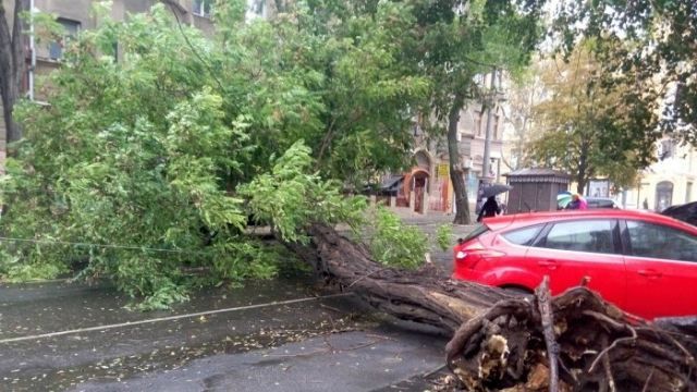 Непогода в Одессе: повалены деревья, парализованы улицы, разбиты машины и подтоплены дома