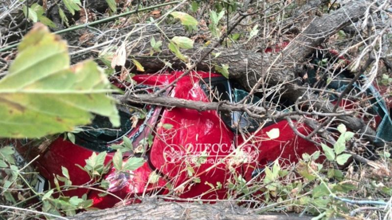 В результате шторма в Одессе погибла женщина В результате шторма в Одессе погибла женщина