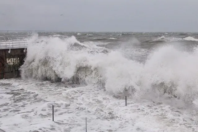 Шторм, Одеса, стихія Шторм, Одеса, стихія