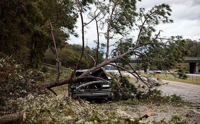 Негода охопила всю Україну: рятувальники радять не ходити під деревами Негода охопила всю Україну: рятувальники радять не ходити під деревами