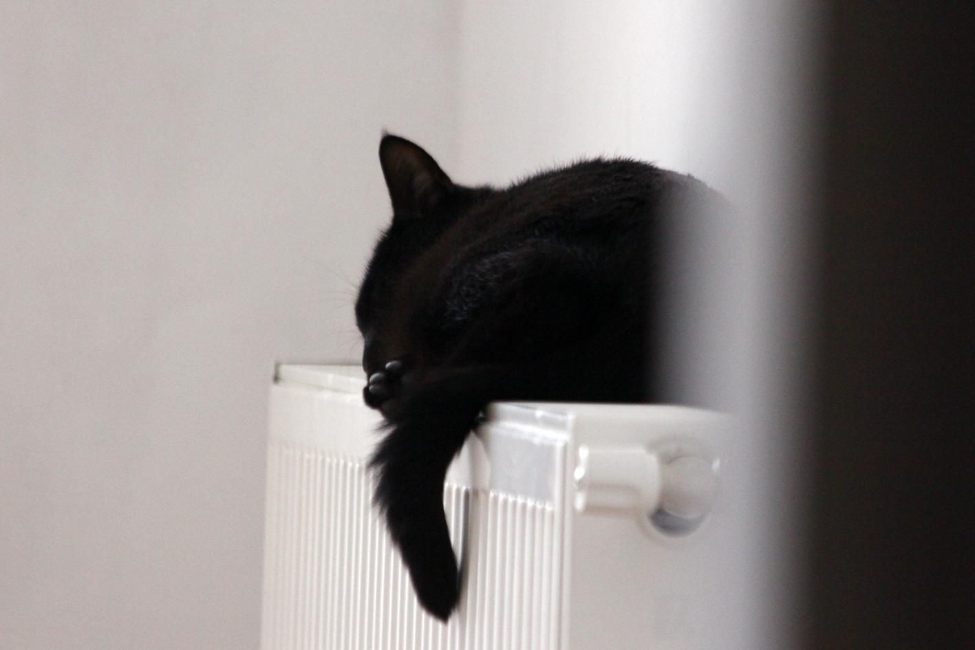 Стало відомо, скільки в Україні триватиме опалювальний сезон Стало відомо, скільки в Україні триватиме опалювальний сезон