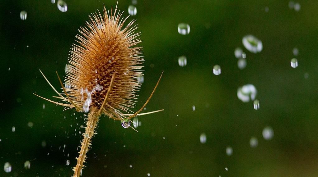 Негода відступає: дощі пішли на спад Негода відступає: дощі пішли на спад