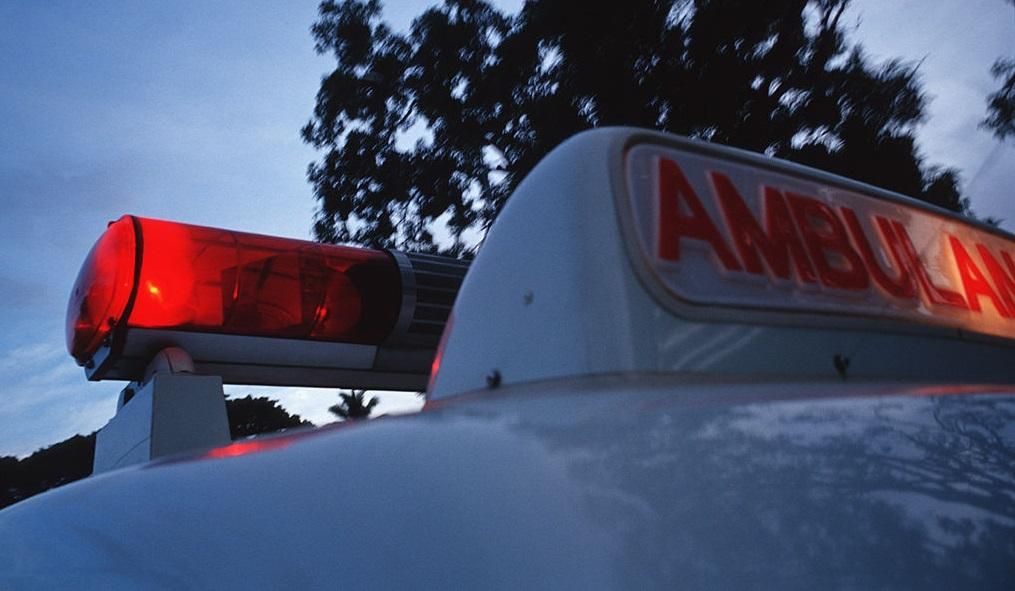 Дерево упало на юную девушку на Виннитчине Дерево упало на юную девушку на Виннитчине