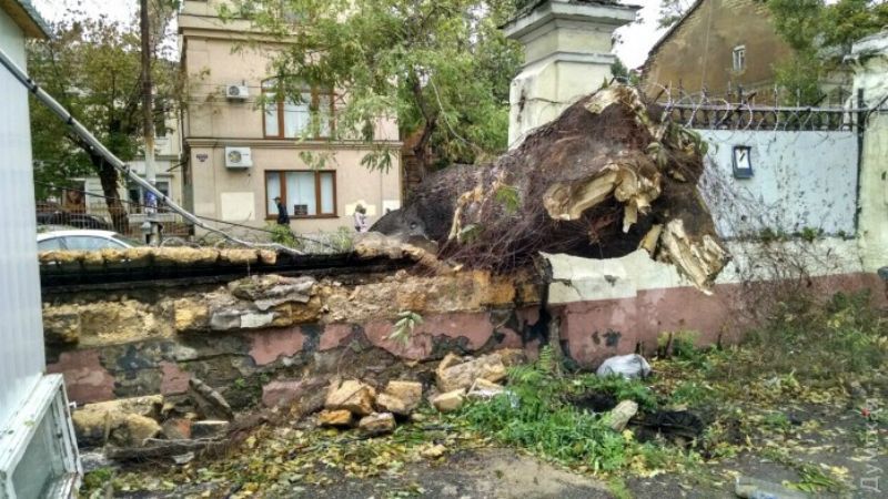 Вирвані дерева, повалені паркани і розтрощені машини: Одеса оговтується від руйнівного шторму