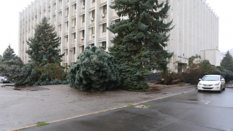 Біля Одеської ОДА впали великі ялинки: з’явилися фото 