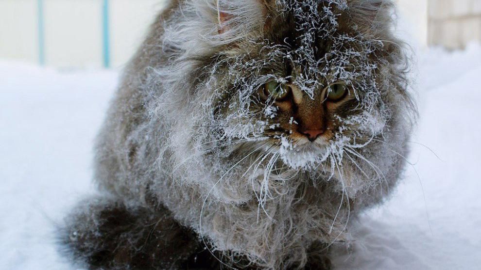 Синоптики рассказали, какой будет погода в начале недели - 16 октября 2016 - Телеканал новин 24 Синоптики рассказали, какой будет погода в начале недели - 16 октября 2016 - Телеканал новин 24